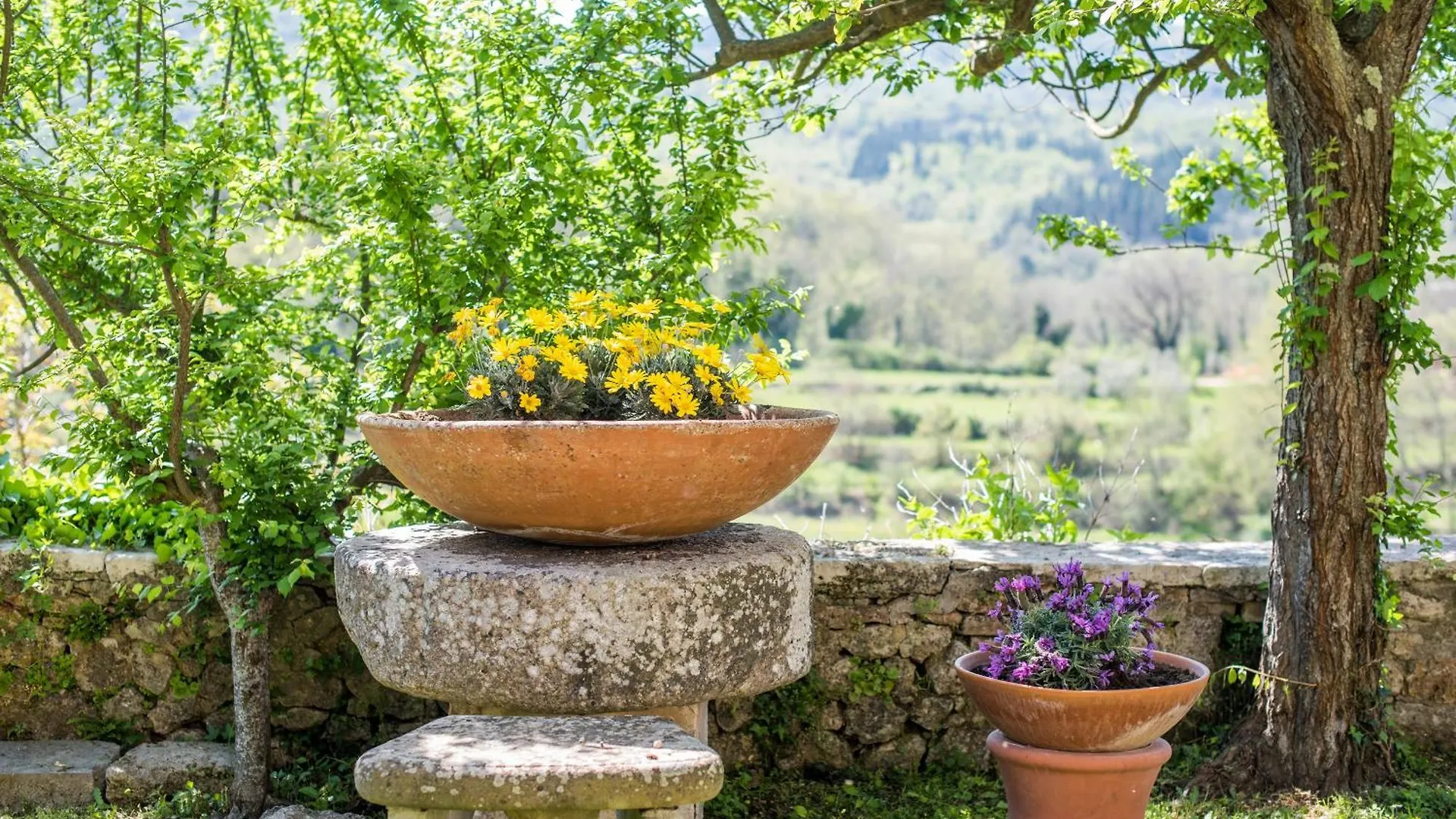 Bed & Breakfast Smallville Sovicille